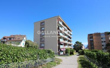 Wohnung ein Zimmer - image - 1