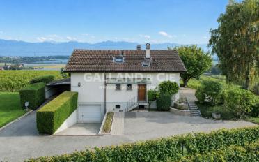 Einfamilienhaus 6.5 Zimmer - image - 1
