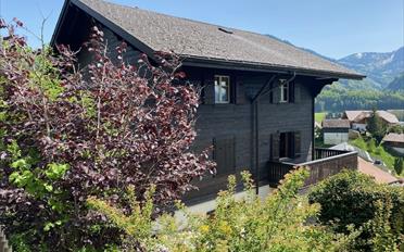 Chalet 8 pièces - image - 1