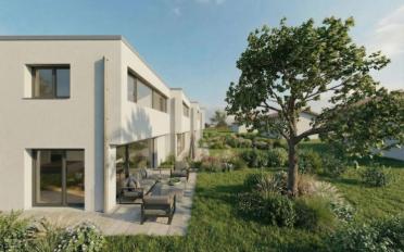 Maison contiguë 5.5 pièces - image - 4