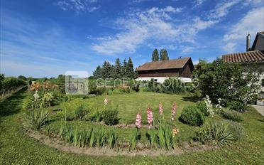 Single house 8 rooms - image - 10
