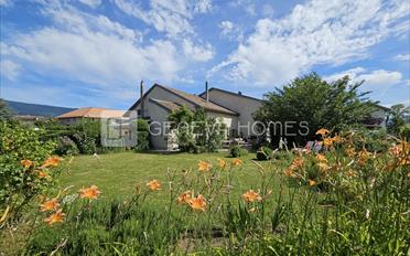 Single house 8 rooms - image - 3