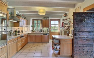 Single house 8 rooms - image - 6