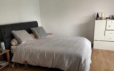 Appartement 5.5 pièces - image - 4