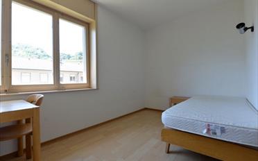 Wohnung ein Zimmer - image - 6