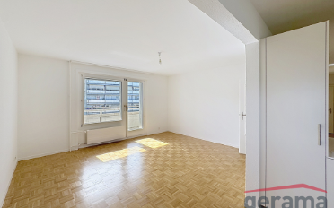 Appartement 3.5 pièces - image - 1