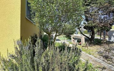 Doppeleinfamilienhaus 5.5 Zimmer - image - 3