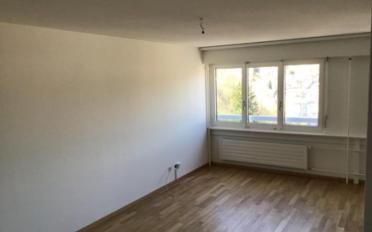 Wohnung 3.5 Zimmer - image - 1