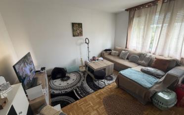 Appartement 2.5 pièces - image - 2