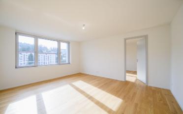 Wohnung 4.5 Zimmer - image - 8