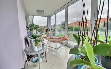 Einfamilienhaus 6.5 Zimmer - image - 9