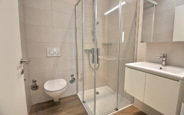 Appartement 4.5 pièces - image - 6