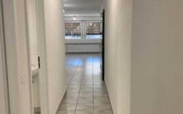 Büro - image - 6