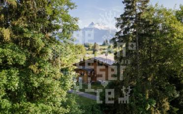 Chalet 6.5 Zimmer - image - 8