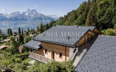 Chalet 9.5 Zimmer - image - 2