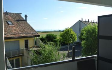 Wohnung 3.5 Zimmer - image - 1
