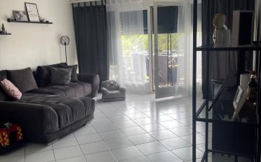 Wohnung 2.5 Zimmer - image - 1