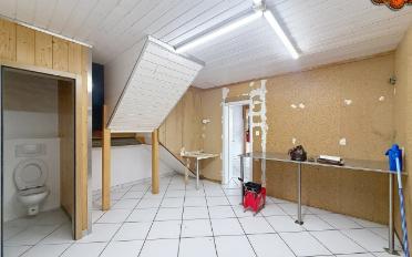 Loft 1 room - image - 3