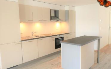 Loft 1 pièce - image - 7