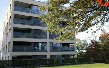 Wohnung 4.5 Zimmer - image - 11
