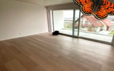 Wohnung 2.5 Zimmer - image - 5