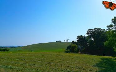 Wohnung 4.5 Zimmer - image - 6