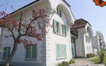 Furnished flat 2.5 rooms - image - 1