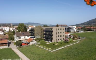 Wohnung 4.5 Zimmer - image - 5