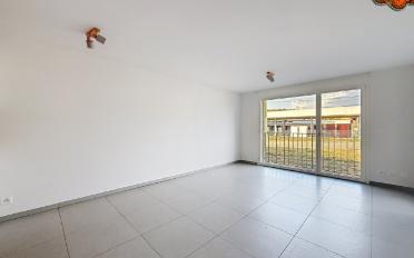 Appartement 2.5 pièces - image - 2