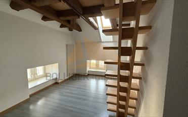 Wohnung 4.5 Zimmer - image - 12