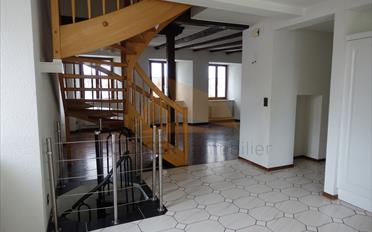 Wohnung 6 Zimmer - image - 3