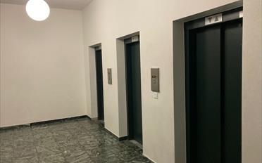 Wohnung 2 Zimmer - image - 5