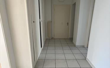 Appartement 3 pièces - image - 6