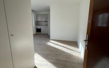 Apartment 1 room - image - 4