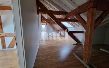 Wohnung 4 Zimmer - image - 6