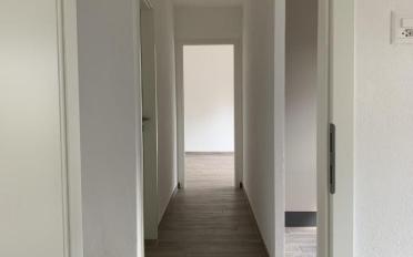 Wohnung 2.5 Zimmer - image - 9