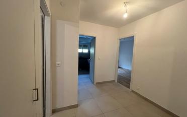 Wohnung 2.5 Zimmer - image - 5