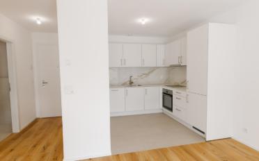 Apartment 2.5 rooms - image - 1