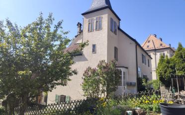 Wohnung 1.5 Zimmer - image - 1