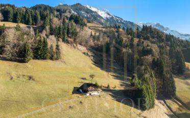 Chalet 7 rooms - image - 1