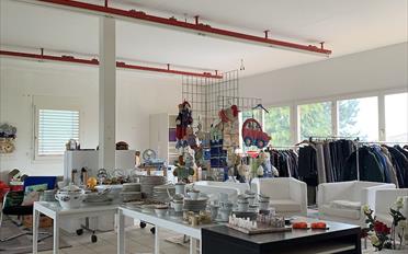 Commercial 11 rooms - image - 13