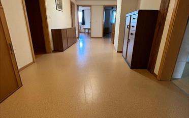 Commerce 7.5 pièces - image - 4