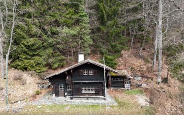 Chalet 3.5 pièces - image - 1