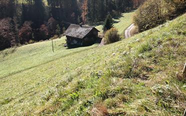 Building land - image - 6