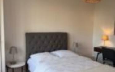 Furnished flat 1.5 rooms - image - 6