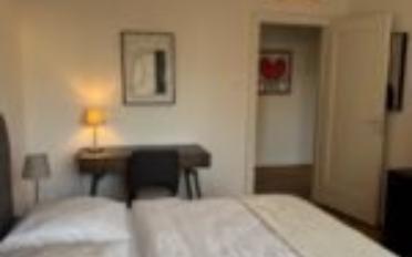 Furnished flat 1.5 rooms - image - 4