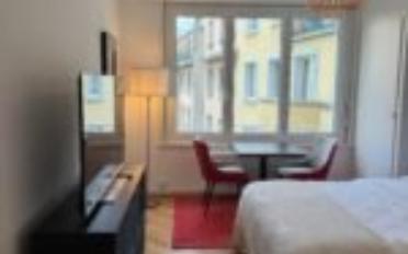 Furnished flat 1.5 rooms - image - 3