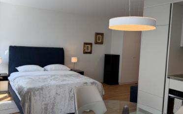 Apartment 1 room - image - 6