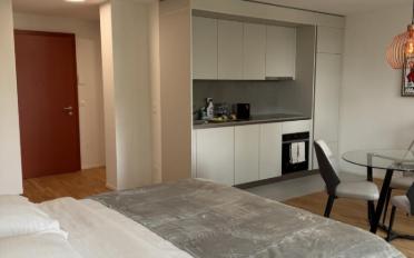 Apartment 1 room - image - 3