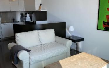 Furnished flat 2.5 rooms - image - 3